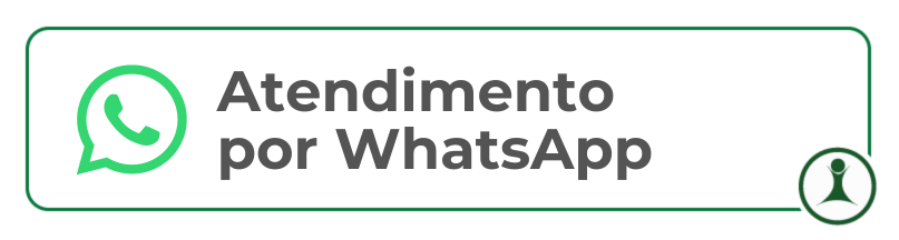 Notícia 291
