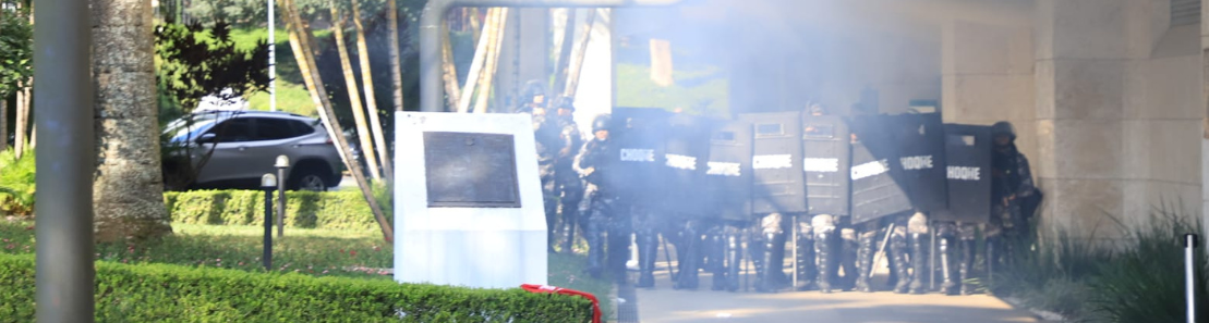 Notícia 254