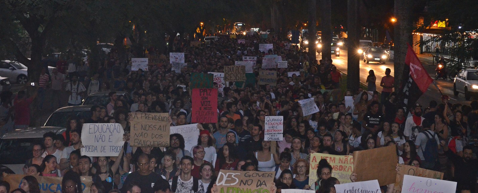 Notícia 81
